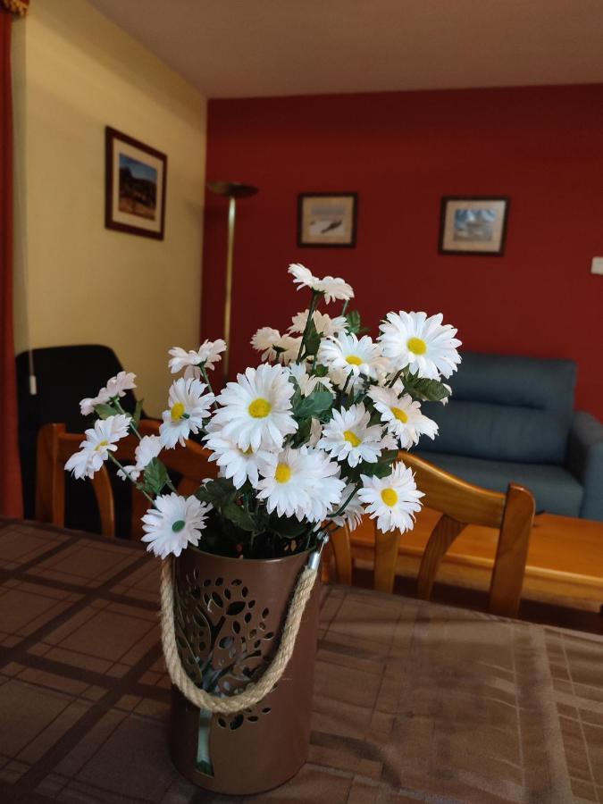 Apartamentos Casa Modesto Escalona Dış mekan fotoğraf